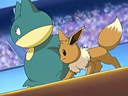 EP458 Munchlax y Eevee