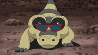 EP663 Sandile