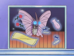 Venomoth de Chaz