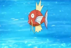 EP803 Magikarp