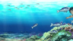 EP999 Wishiwashi