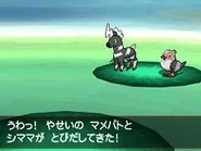 Pokémon salvajes BW.jpg (7 kB) Aparición de 2 Pokémon salvajes en Pokémon Negro, Pokémon Blanco, Pokémon Negro 2 y Pokémon Blanco 2.