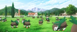 EVOL03 rebaño Skiddo