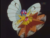 EP007 Butterfree VS Staryu