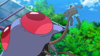 Tentacruel usando Atadura contra el Riolu de Ash.