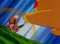 Eevee de Gary usando reflejo.