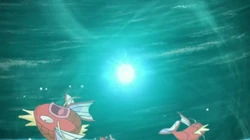 EP620 Magikarp