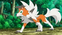 Imagen de Lycanroc crepuscular