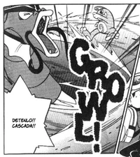 Poltaro usando cascada.