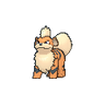 Growlithe