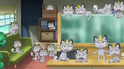 EP1016 Varios Meowth de Alola en la oficina de policía