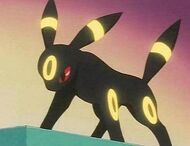 Umbreon de Gary usando destello.