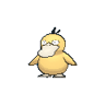 Psyduck