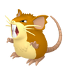 Raticate