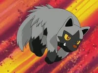 Poochyena usando placaje.