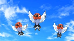 OAH01 Fletchling