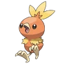Torchic