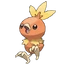 Torchic