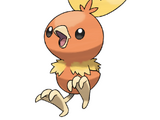 Torchic