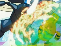 ...y al usar el ataque, es capaz de destruir la protección creada por el Elekid de Paul/Polo.