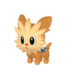 Lillipup