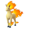 Rapidash