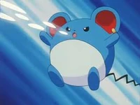 Marill de Pietra usando rayo burbuja.