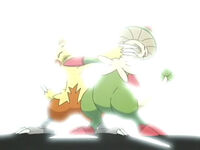 Combusken vs. Breloom.