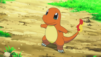 EP778 Charmander de Ash