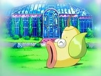 Ropa Geek 👾🎮🕹 on Instagram: Victreebel es un Pokémon de tipo planta/ veneno introducido en la primera generación. Es la evolución de Weepinbell  y la contraparte de Vileplume. Está inspirado en la planta