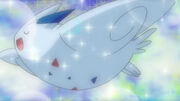 EP641 Togekiss de Dawn