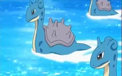 EP803 Lapras