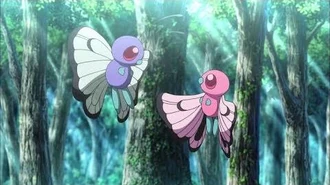 San_Valentín_Pokémon_Amor_a_primer..._vuelo