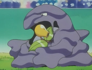 Muk contra Bellsprout.