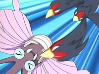 Swellow usando picotazo.