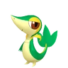 Snivy