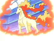 EP457 Rapidash