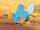 EP355 Mudkip de Brock.png