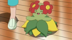EP607 Bellossom