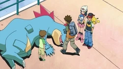 EP627 Feraligatr debilitado