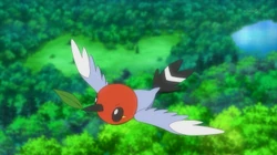 EP844 Fletchling