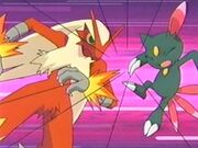 EP267 Blaziken de Harrison