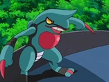 Imagen de Toxicroak