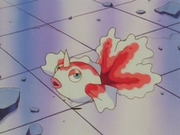 EP002 Goldeen de Misty