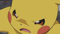 Pikachu de Ash tiene celos del Riolu de Ash.