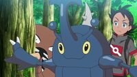 Heracross defendiendo a Pinsir.