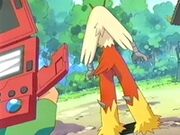 EP267 Blaziken de Harrison de espalda