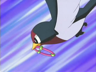 Taillow en el PokéAro/PokéAnilla.