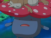 Entrenadores Pokemons - #45 Vileplume es un Pokémon de tipo planta/veneno  introducido en la primera generación. Es una de las dos evoluciones  posibles de Gloom. Vileplume posee los pétalos de flor más