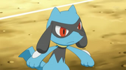 EP766 Riolu de Kotetsu